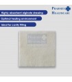 Biatain® Alginate Ag 10cmx10cm 10's/Box