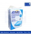 ASSURE Underpads (75cm x 75cm, 60g Fluff Filler, 10 Pcs/Pkt)