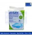 ASSURE Underpads (75cm x 75cm, 80g Fluff Filler, 10 Pcs/Pkt)