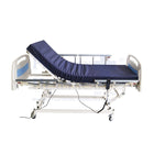 ASSURE Rehab ABS Electric Low Bed